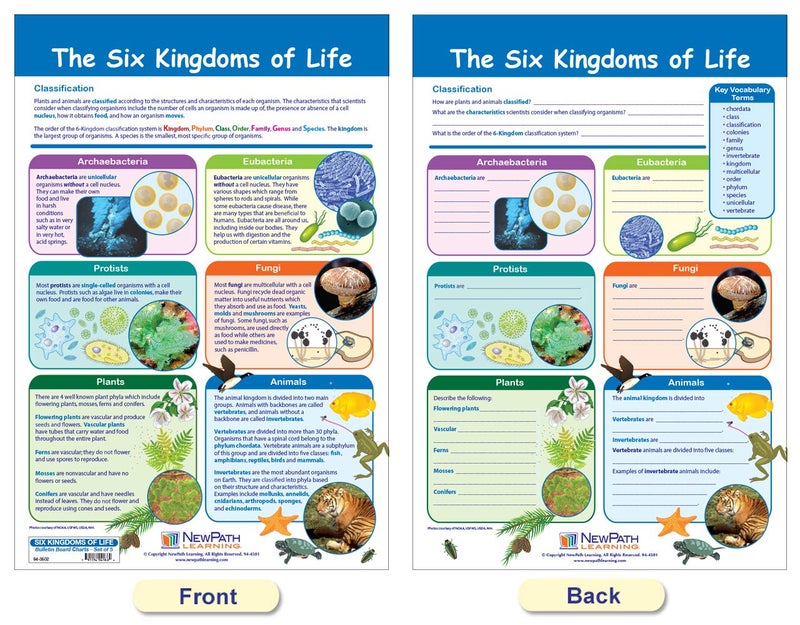 New Path Learning NewPath Learning - 94-3502 The Six Kingdoms Bulletin Board Charts, 12 x 18 Inch, Full Color, Set of 5 - Image 2